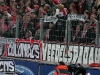 1. FC Köln - Mainz 05