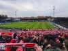SV Darmstadt 98 -1. FC Köln
